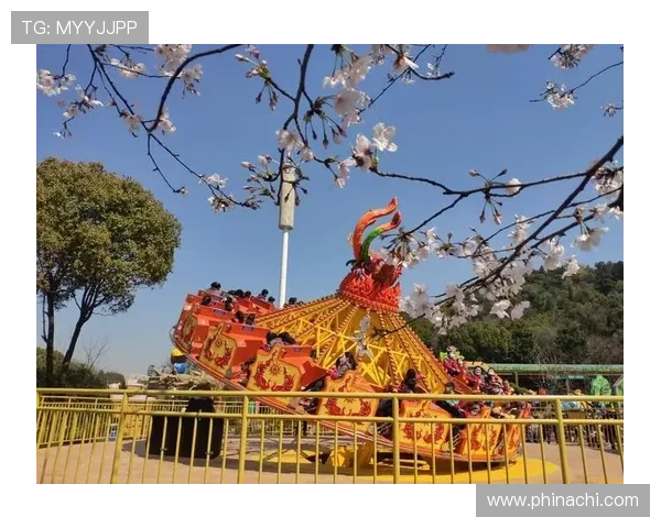 大家赢娱乐带你体验最刺激的线上游戏娱乐盛宴，享受丰富多彩的互动娱乐体验